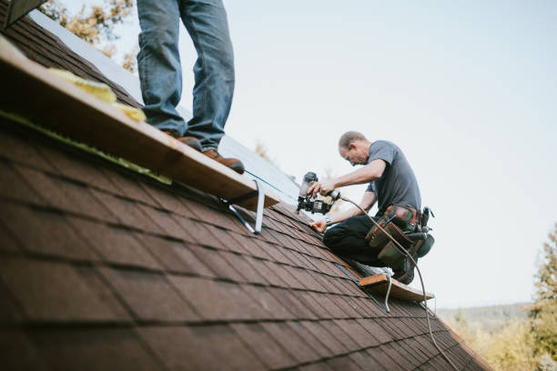 Quick and Trustworthy Emergency Roof Repair Services in Panama City, FL