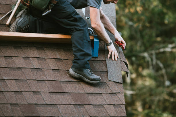 Best Storm Damage Roof Repair  in Panama City, FL